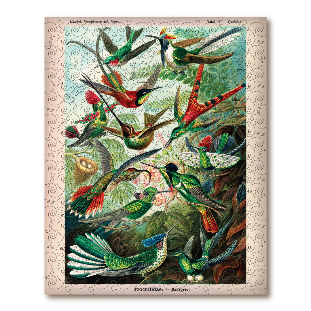 Hummingbirds (Trochilidae)