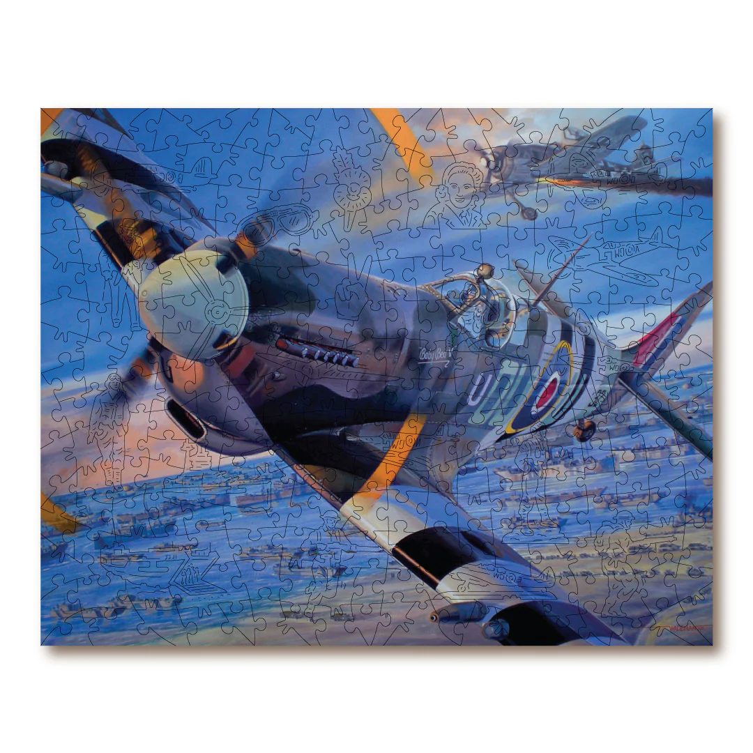 Wings Of Valour - Spitfire Over Normandy