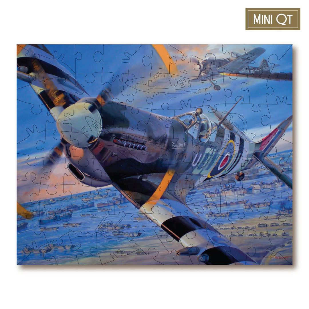 Wings Of Valour MINI QT